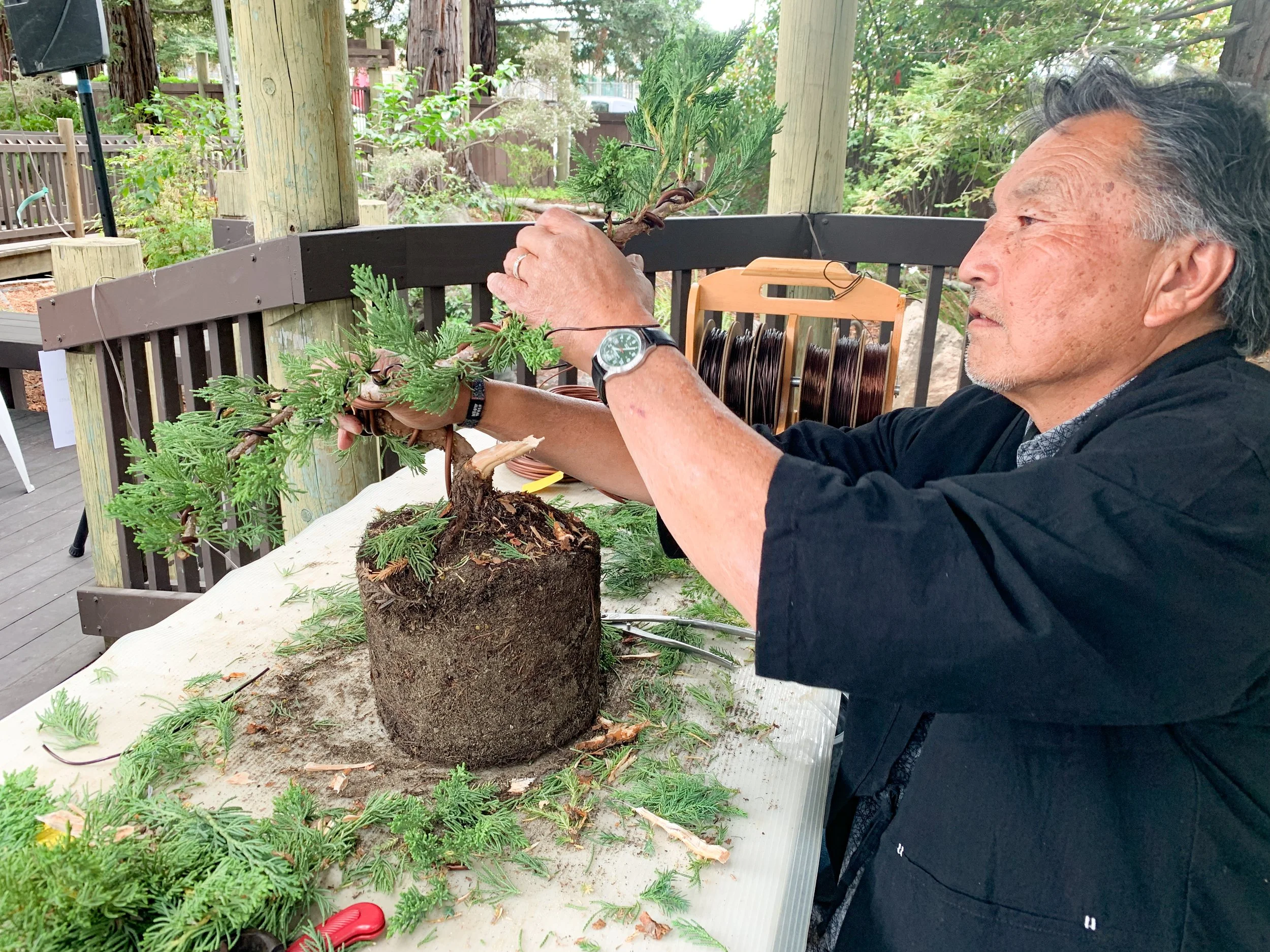 Sei Boku Bonsai Kai — San Mateo Garden Center